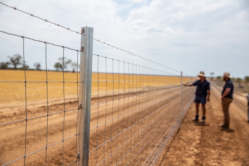 What are the latest trends in fencing and livestock yards? The Farmer Magazine recently caught up with @ClipexAustralia, Gallagher Animal Management Australia, @westonfence, @whitesrural and Bordin Bros to find out 👉bit.ly/2YGSx11