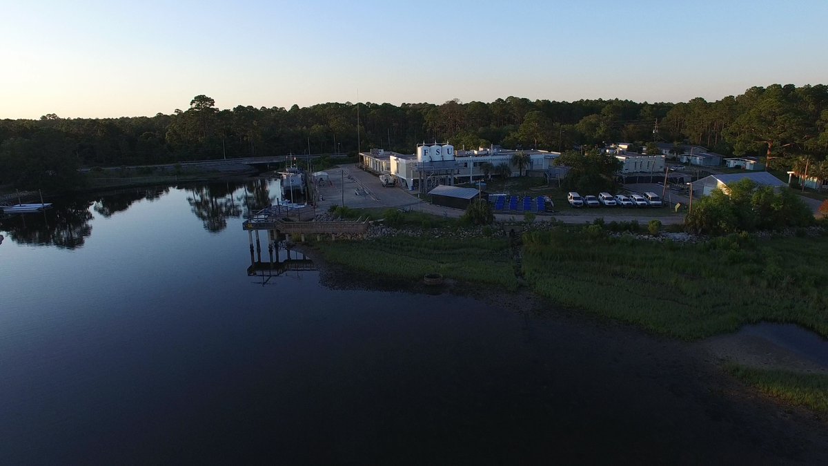 Sarah Lester, PhD tweet media