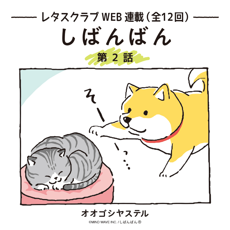 Twitter 上的 オオゴシ ヤステル しばんばん描いてる人 Rt Shibanban Mw 第2話 容赦ない猫パンチ 柴犬に眠りを邪魔された猫の反撃とは 続きはレタスクラブwebから T Co 4h6w2hpp1j しばんばん しばんばん連載 T Co D7iqjz8c49 Twitter