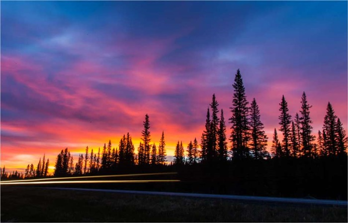 Steil Soltero (@solterosteil) on Twitter photo 