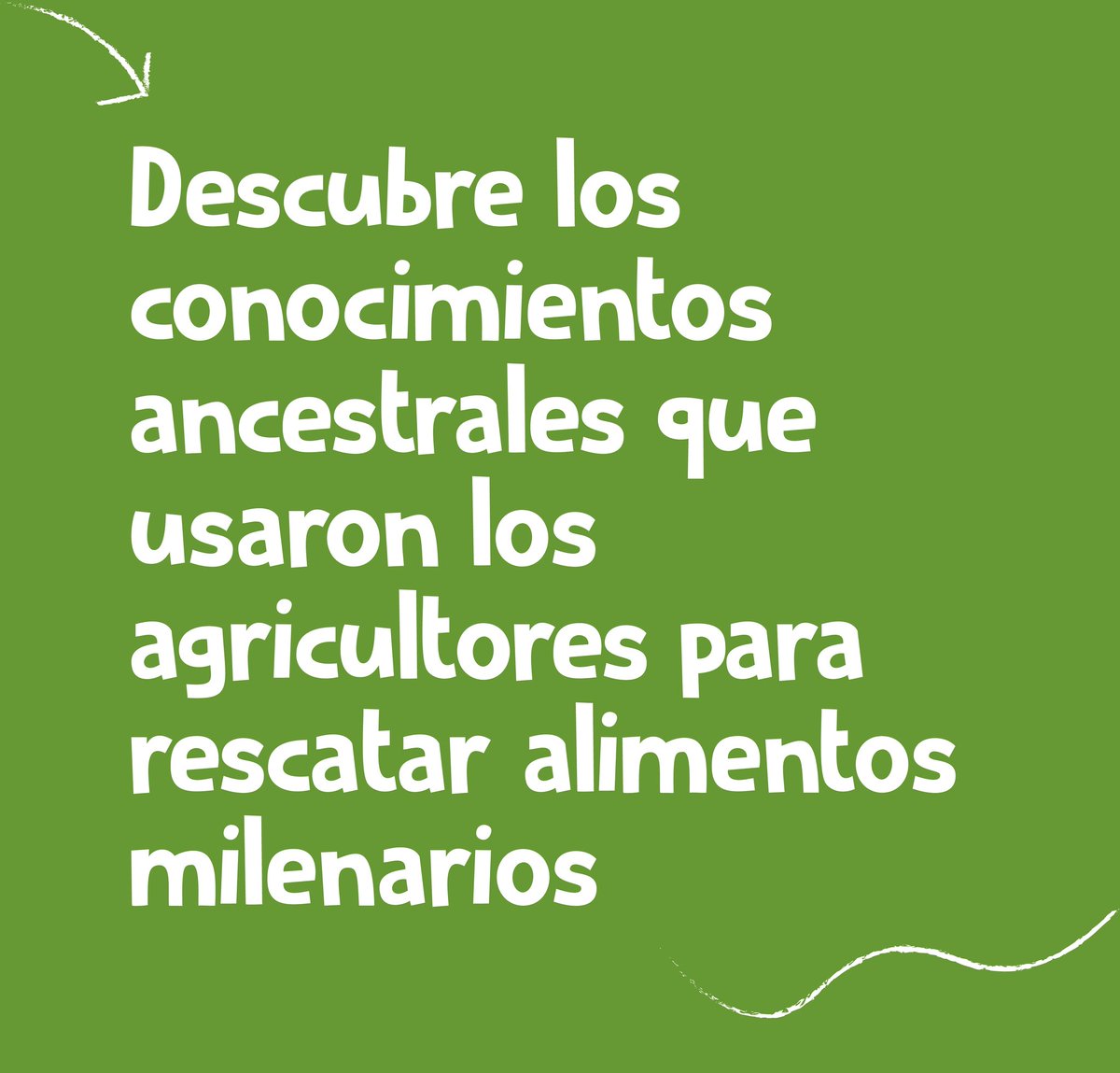 FAOPERU's tweet image. No te pierdas la experiencia de conocer el primer museo recreativo gratuito del #Perú milenario 
Sábado 1️⃣6️⃣
Domingo 1️⃣7️⃣
Ven y se parte de la comunidad #Kusikuy!!