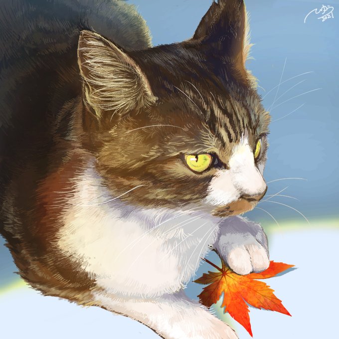 目つき悪い猫のtwitterイラスト検索結果