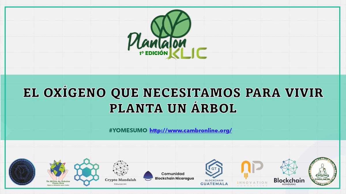 aranaalejandro_'s tweet photo. @blockchain505 apoyando el #Plantaton junto a #Cambronline #blockchain https://t.co/g5r0tnw6lQ