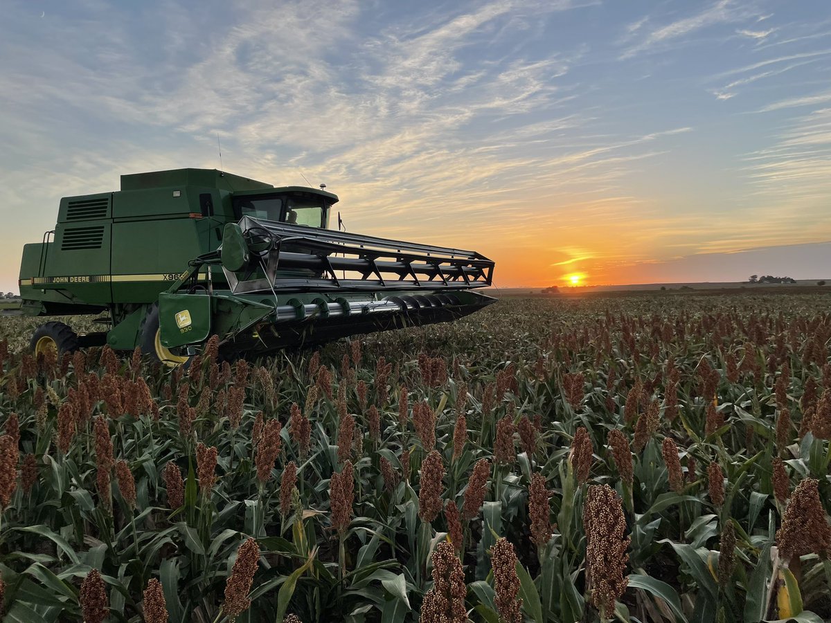 eslinger51's tweet photo. Happy #NationalFarmersDay, thanks to all the farmers out there dedicating their life to production agriculture. Especially to my dad and grandpa who raised me to love this way of life. https://t.co/U1thzWAtXG