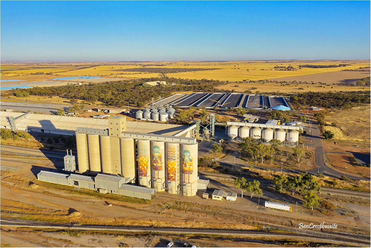 BenCrosthwaite1's tweet photo. Merredin CBH already for harvest with some trucks already coming in. https://t.co/JNK2uKB121