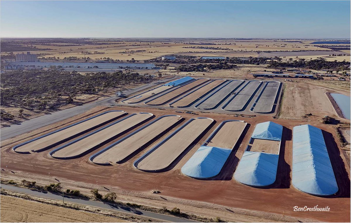 BenCrosthwaite1's tweet photo. Merredin CBH already for harvest with some trucks already coming in. https://t.co/JNK2uKB121