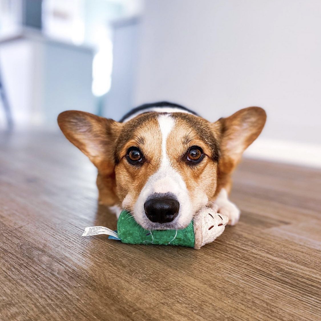 hi there, pablob here reminding u that it’s ✨okay to cry✨🥰