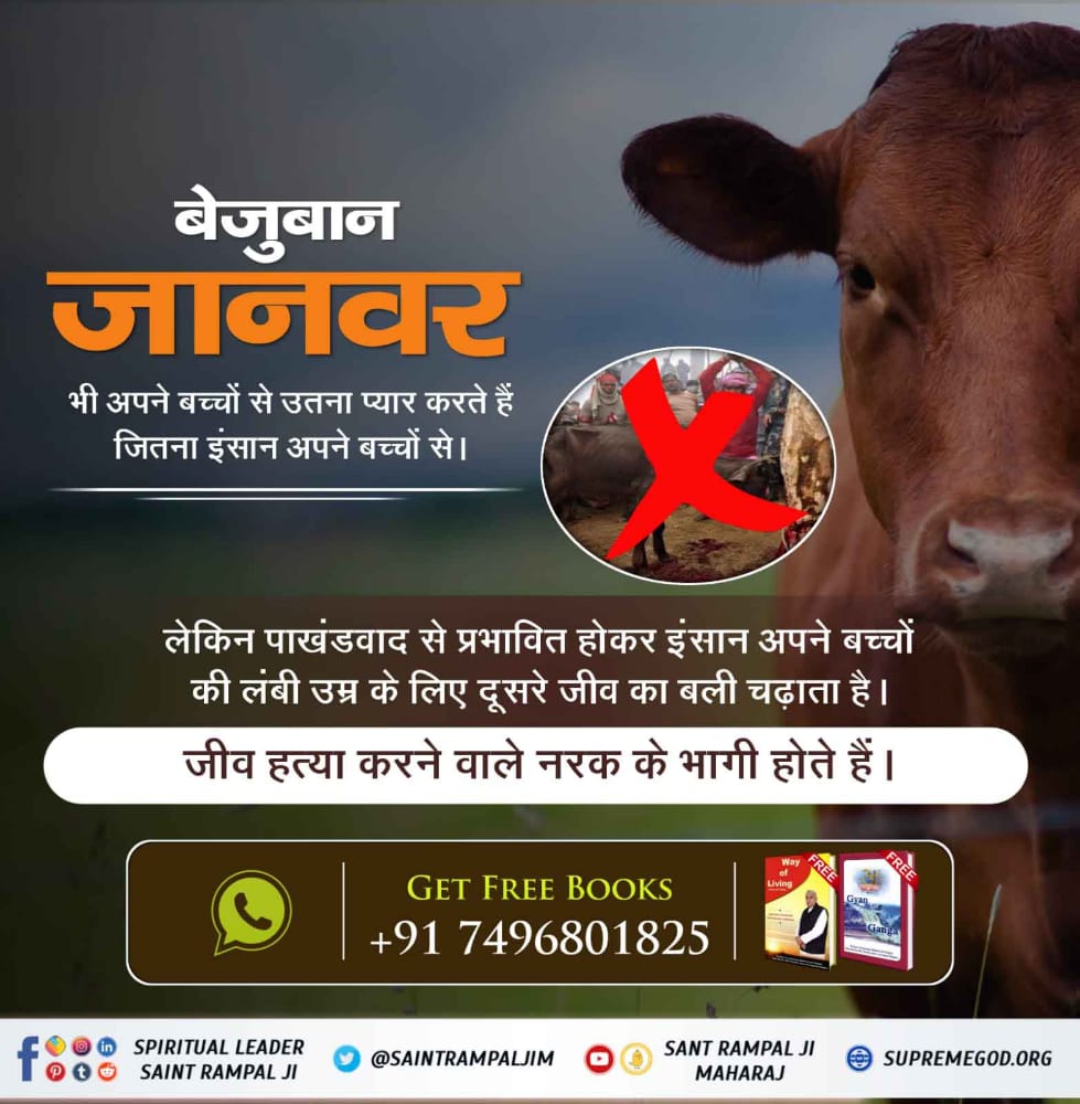 SAKaronthaDham's tweet photo. #TrueKnowledge_On_Navratri
नवरात्रि
देवी माता की संतुष्टि के लिए के दशहरे के समय अष्टमी तिथि में अलग अलग शक्तिपीठों में जो बलि चढ़ाई जाती है,

क्या वह शास्त्रानुकूल है ?

जानने के लिए अवश्य पढ़ें ज्ञान गंगा।
पशुबलि प्रथा अंधविश्वास है https://t.co/g62TeCKcIT