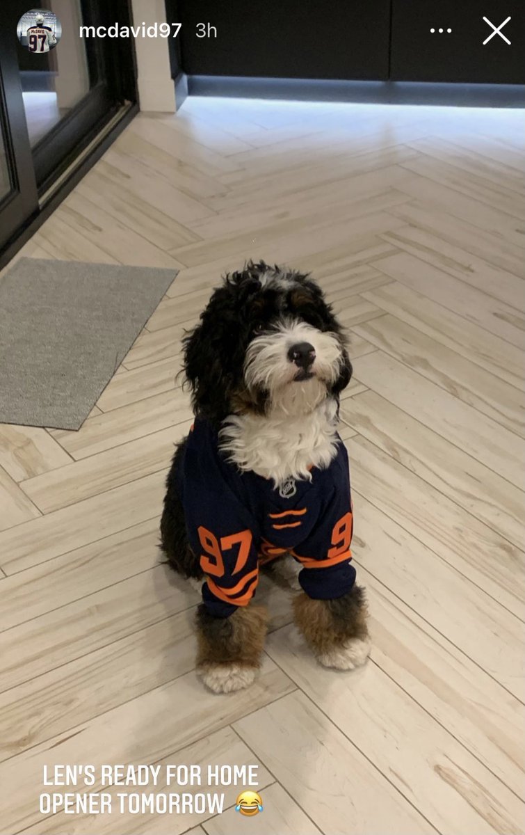 What does Lenny need to do to make the starting lineup tomorrow, <a href="/EdmontonOilers/">Edmonton Oilers</a>?  

📸: mcdavid97/IG