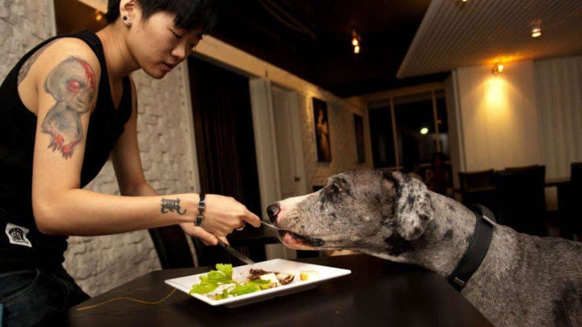 war heute mit @Couraxee (der rechts) essen und ihr so ?