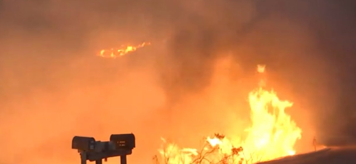 JohnPalminteri's tweet photo. Spreading Alisal fire increases need for Equine Evac and horse evacuations from Santa Barbara County coastal ranches.   https://t.co/et5ZyZ5zEu https://t.co/6EshRPTirS
