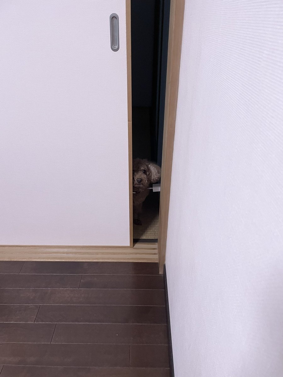 fu_chan1228's tweet photo. https://t.co/Wa9BtmXwiF