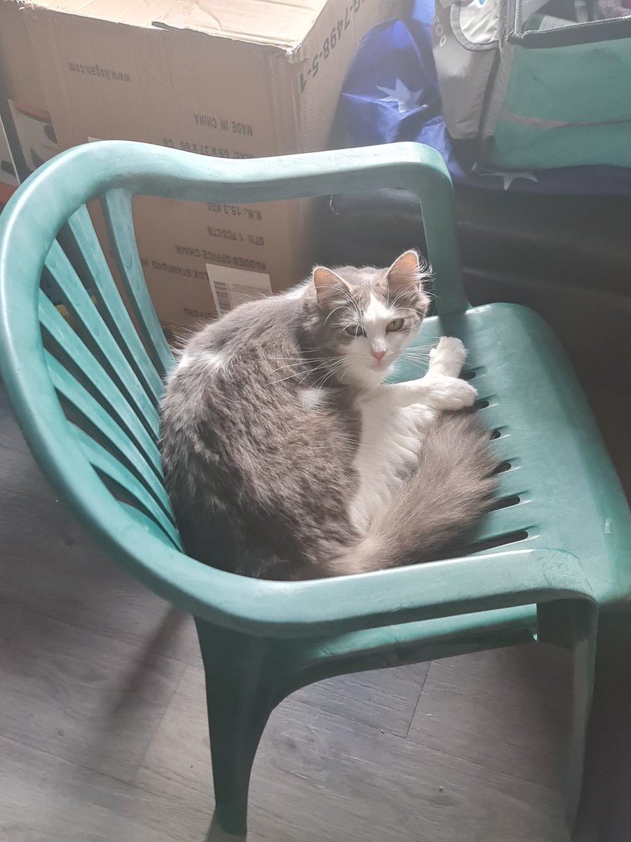 My Daddy Keeps bugging me! So hard to get some decent sleep today 😴 😌