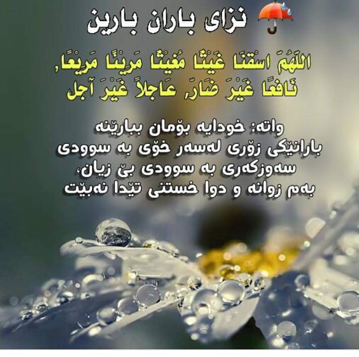 KarokhBalaky's tweet photo. https://t.co/F9KLDPAVZU