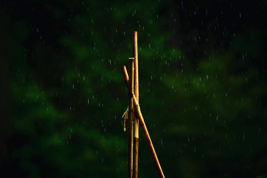 shimoaking's tweet photo. 庭
#thefoundation
#thefoundationcreate
#photography
#japanphoto
#庭
#庭からの景色
#私の視点
#sigma150600sports
#圧縮効果
#最高 https://t.co/xt5xjxGCuy