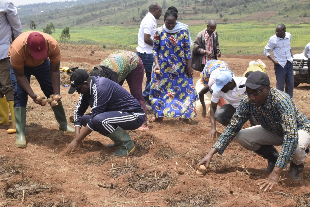 BURUNDI/MINEAGRIE tweet media