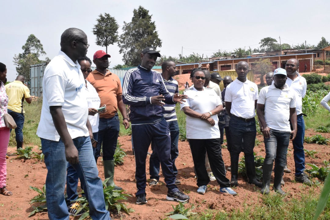 BURUNDI/MINEAGRIE tweet media