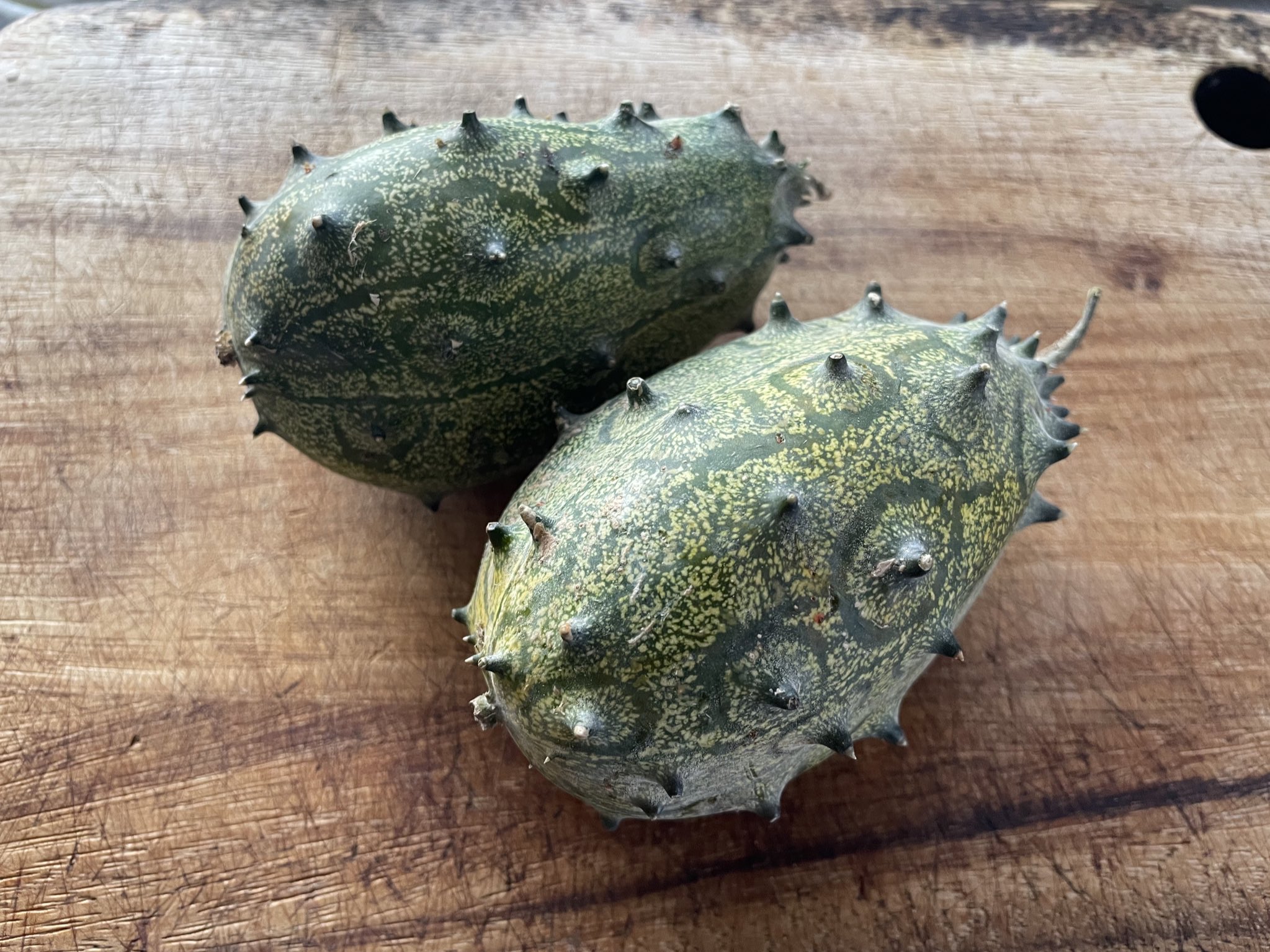 Twitter এ Coco美漢方 田中 友也です キワーノ 君は一体何者や T Co Rmj1yhcn2s ট ইট র