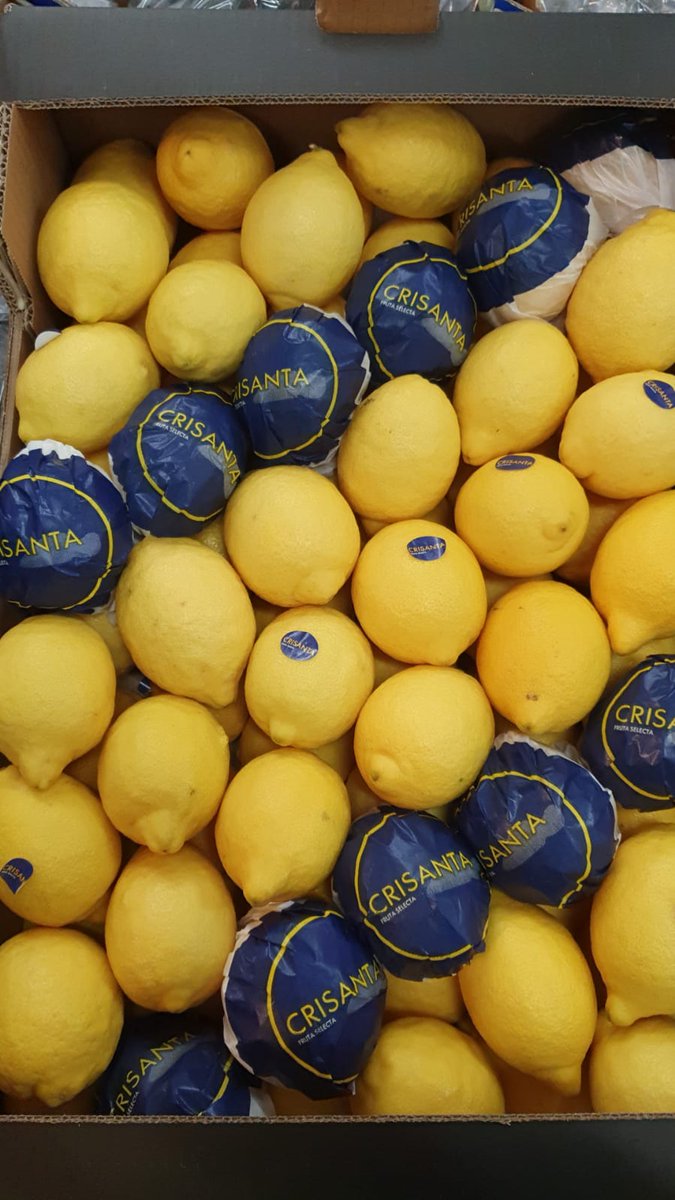 New Season Spanish Lemon now available and fresh in this morning 👌🏼 🇪🇸🍋
#lemons #spanishlemon #newseason #citrus #wholesale #fgb #bristolfruitmarket