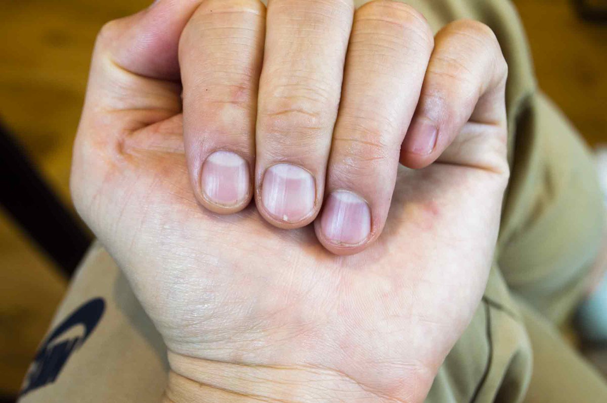 Life Magic tweet media