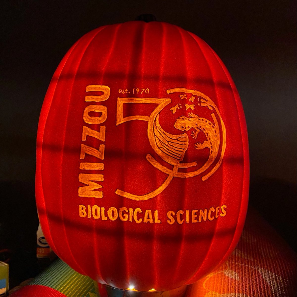 MizzouBiology's tweet image. Check out this AMAZING pumpkin that @MLiscum carved for our Golden Jubilee!!
@Mizzou @MizzouAandS