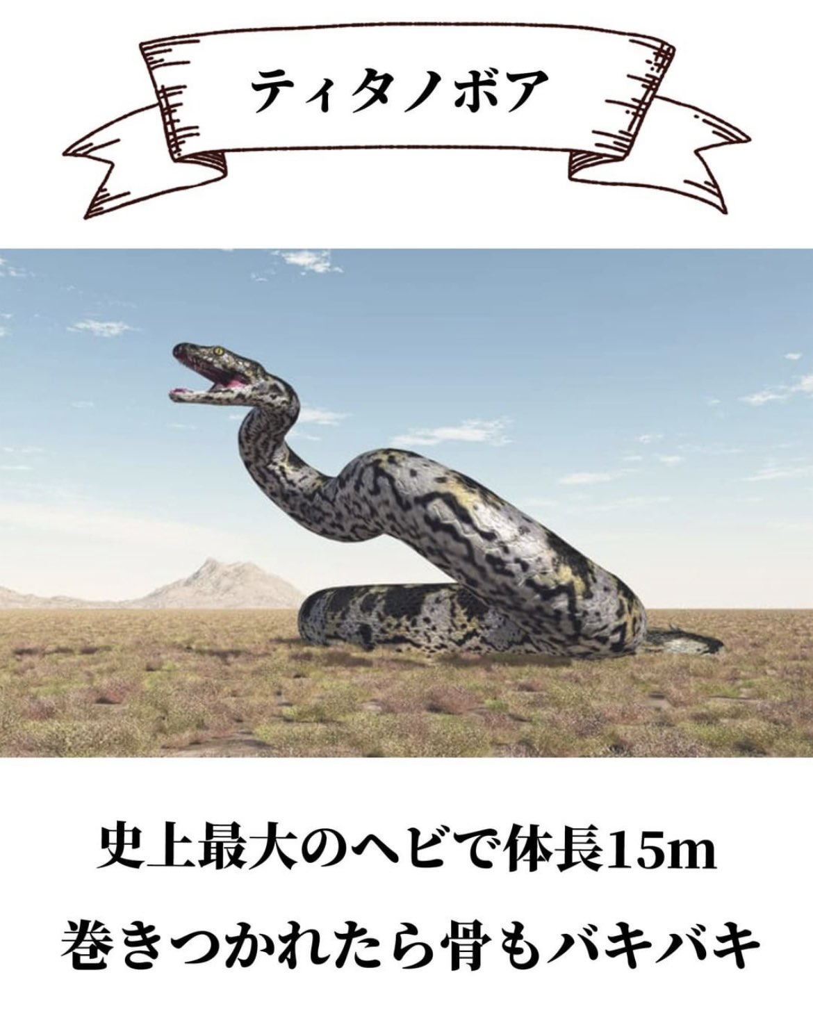 りん Bpbnn Twitter