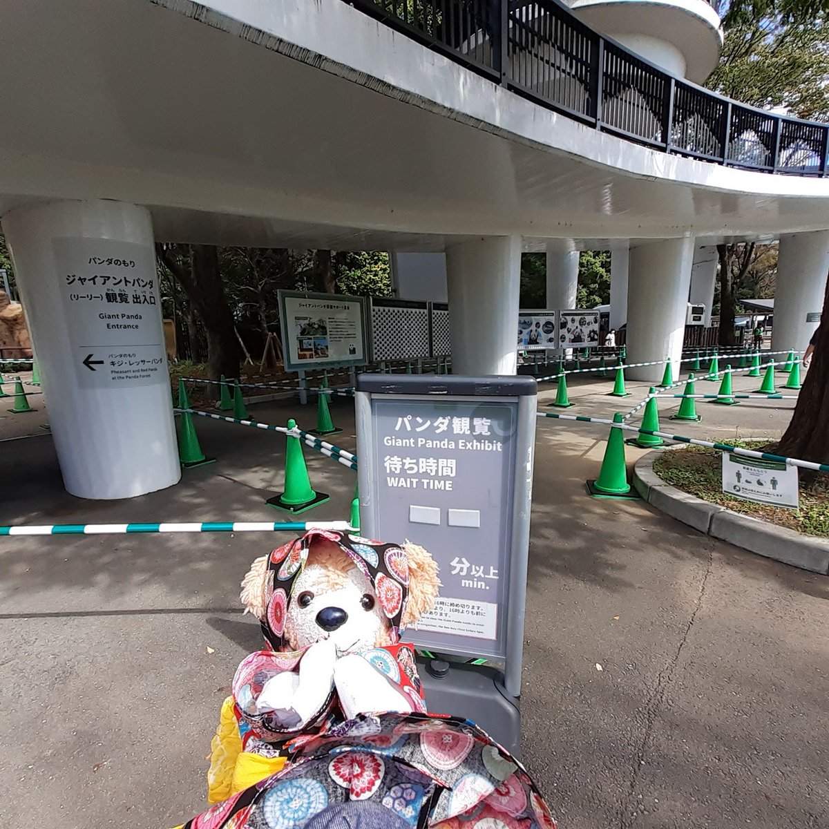 上野動物園 混雑のtwitterリアルタイム検索結果 Meyou ミーユー