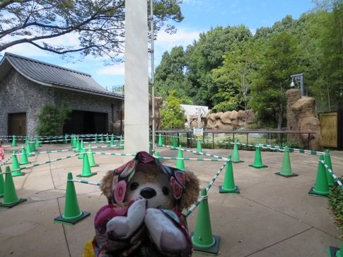 上野動物園 混雑のtwitterリアルタイム検索結果 Meyou ミーユー