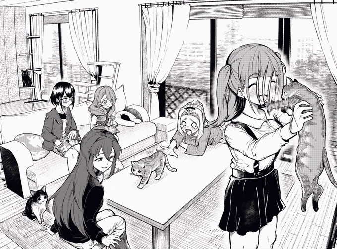 猫。 