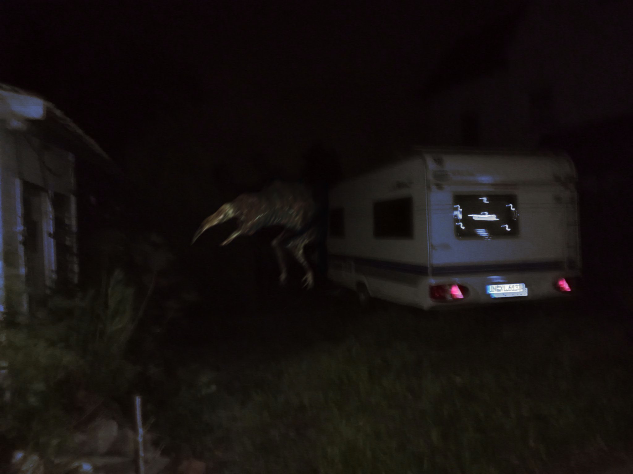 Trevor🍉 on X: RT @slimyswampghost: Night crawler infestation