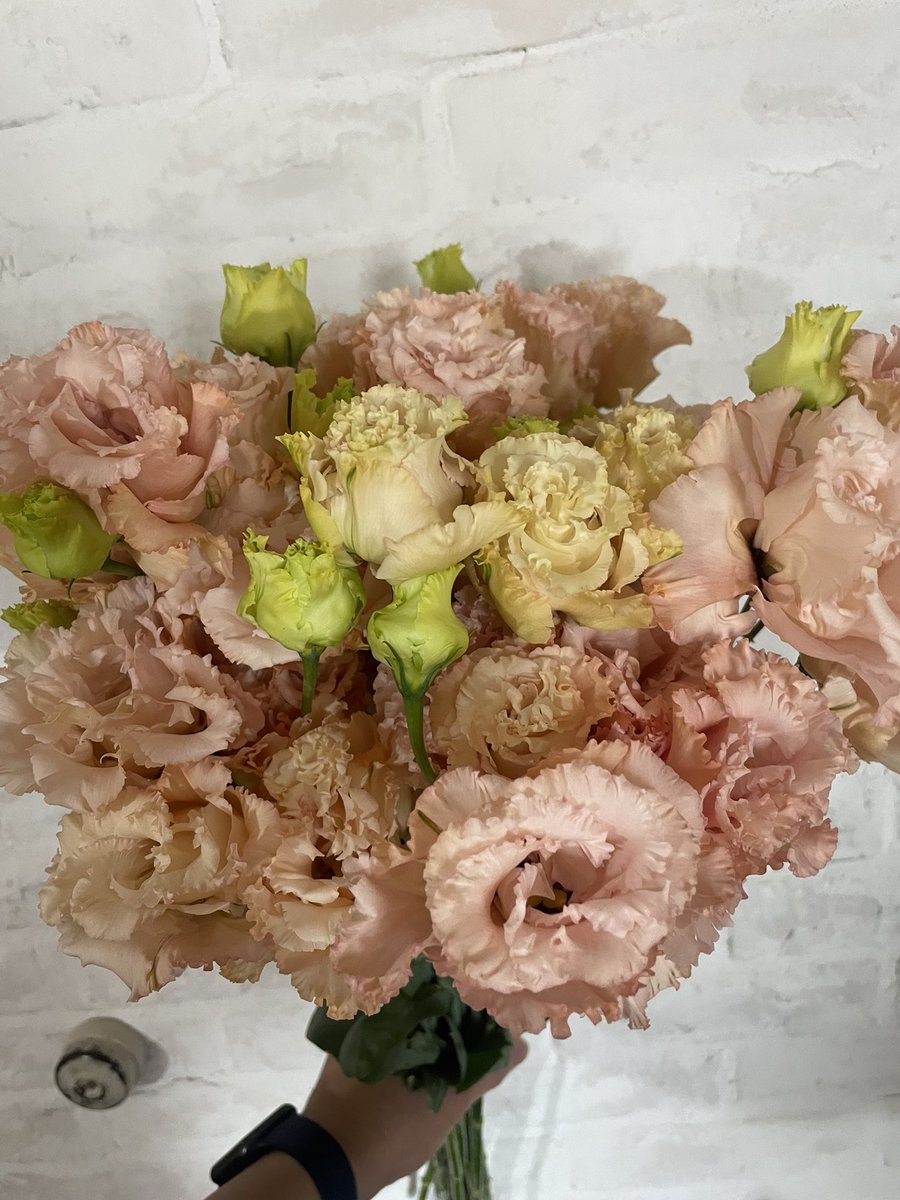 Moss 今日は スプレーバラ エルヴァレンジ トルコキキョウ ボヤージュ アプリコット スカビオサ フォーカルスコープ プロテア ピンクレディ などがおすすめです ご来店お待ちしております