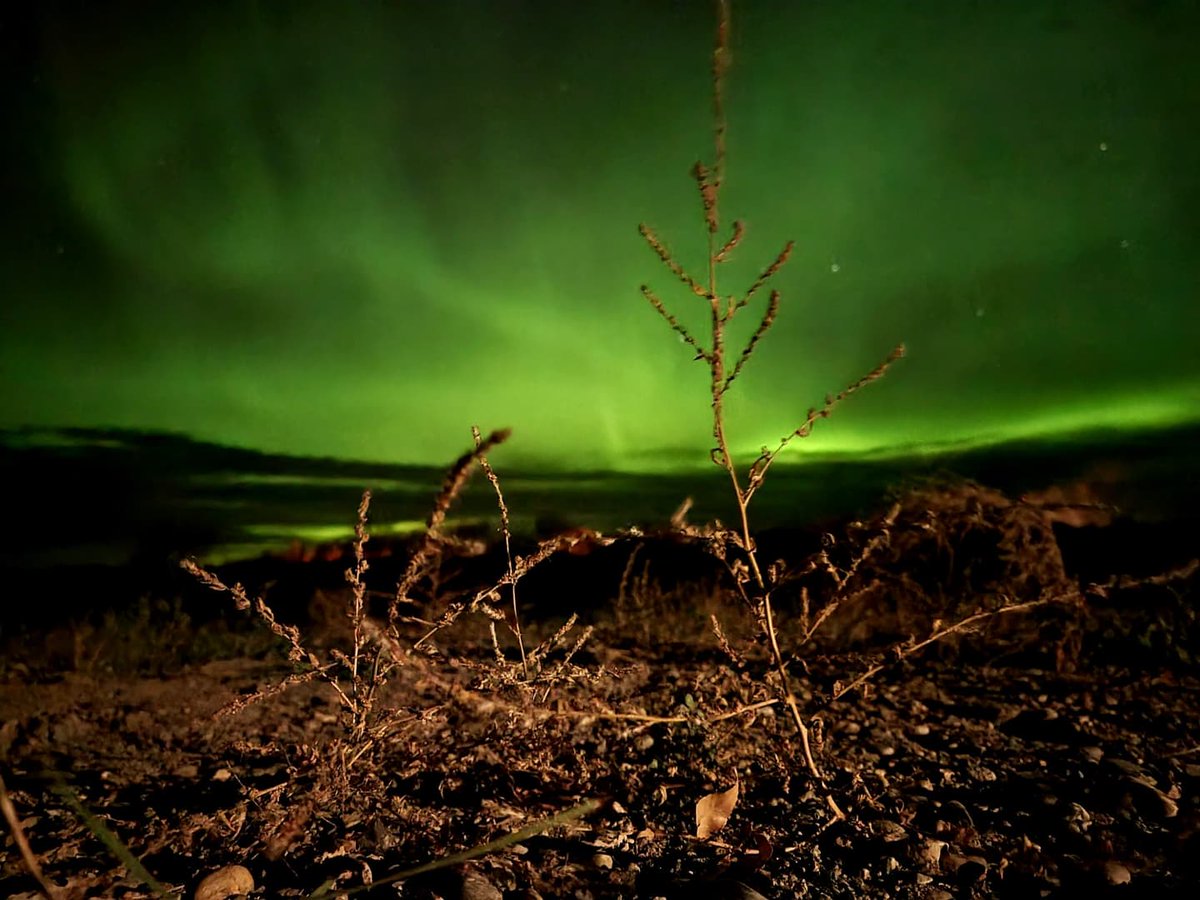 Neepawa Tourism tweet media