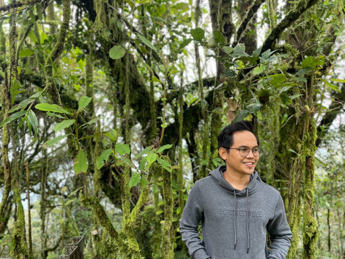 #mossyforest #cameronhighland 💚