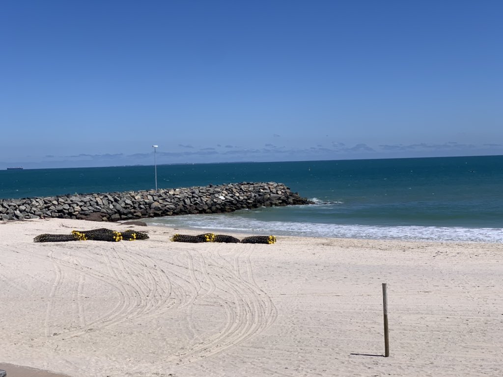 jellybeanjeanp's tweet photo. With the 🦈 net back, it’s beginning to look a lot like 🌞#perthnews #perthect https://t.co/juV5Xefvbz