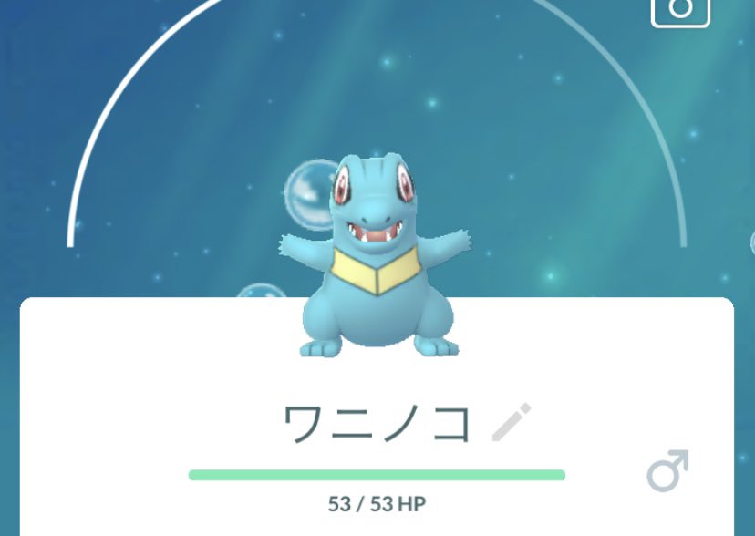 ヒカル ポケモンgoで初めてワニノコ捕まえた時はびっくりしたなぁ 目があまりにもキマってて