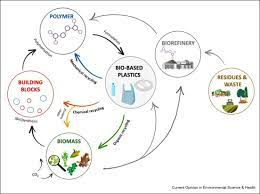 Future-proofing plastic waste management for a circular bioeconomy
hilarispublisher.com/advances-in-re…
#researchers