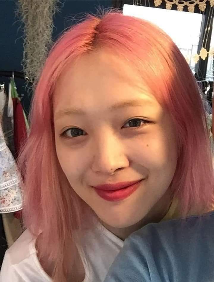 moon17530422's tweet photo. 🍓💗🍑#forchoijinri #forsulli #streamgoblin
#SULLI #choijinri https://t.co/YZOss5H8cS