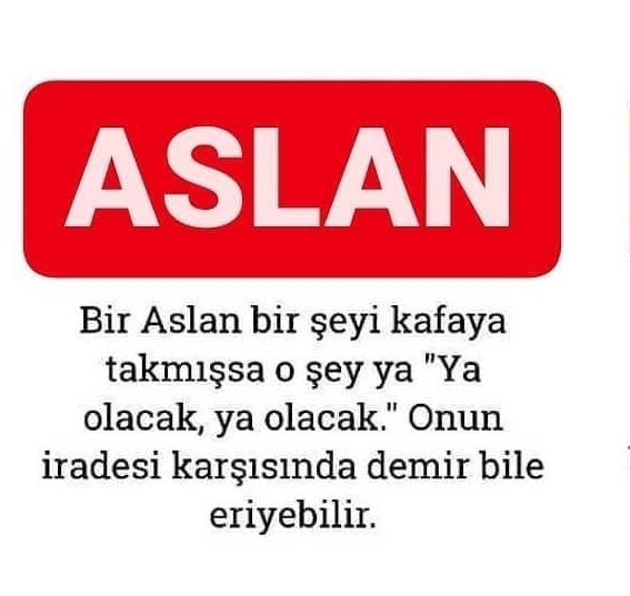 Arda Sönmez (@fenergenekor) on Twitter photo 