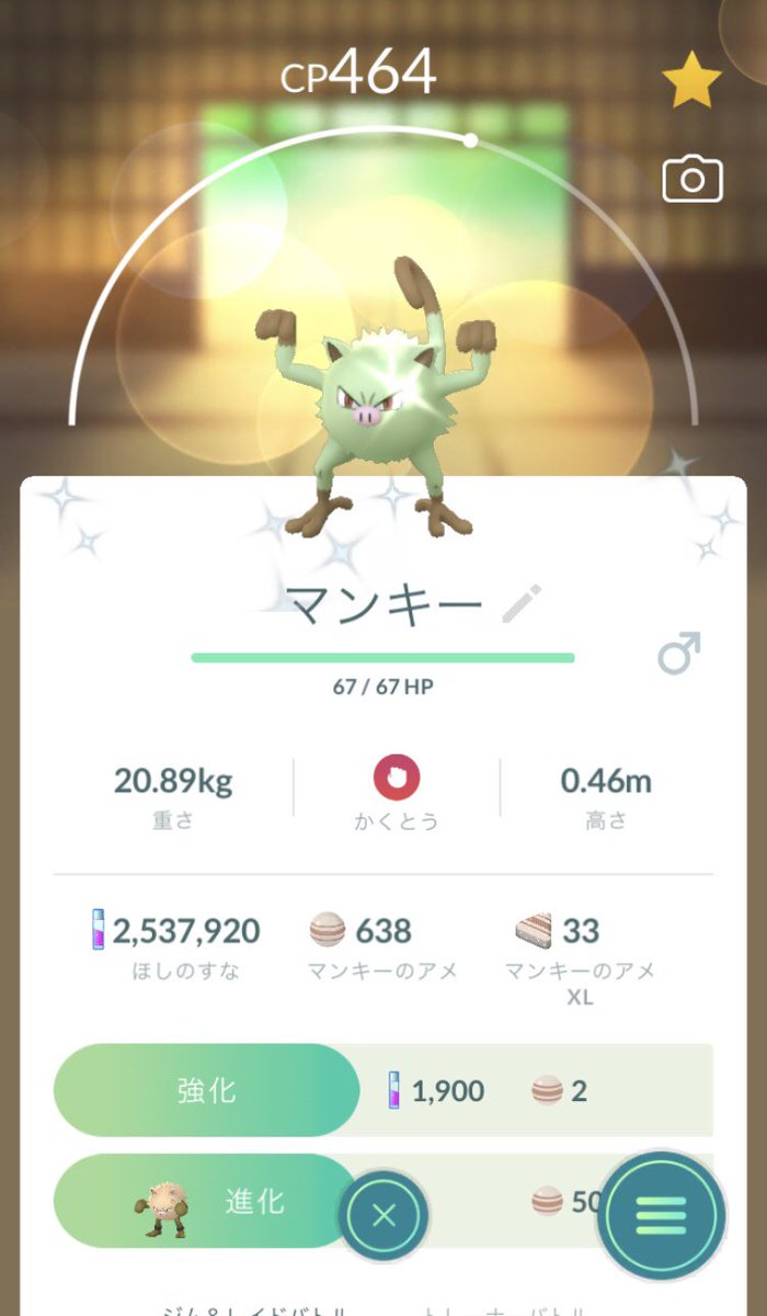 ポケモンgo マンキーの色違い 入手方法と実装状況 攻略大百科