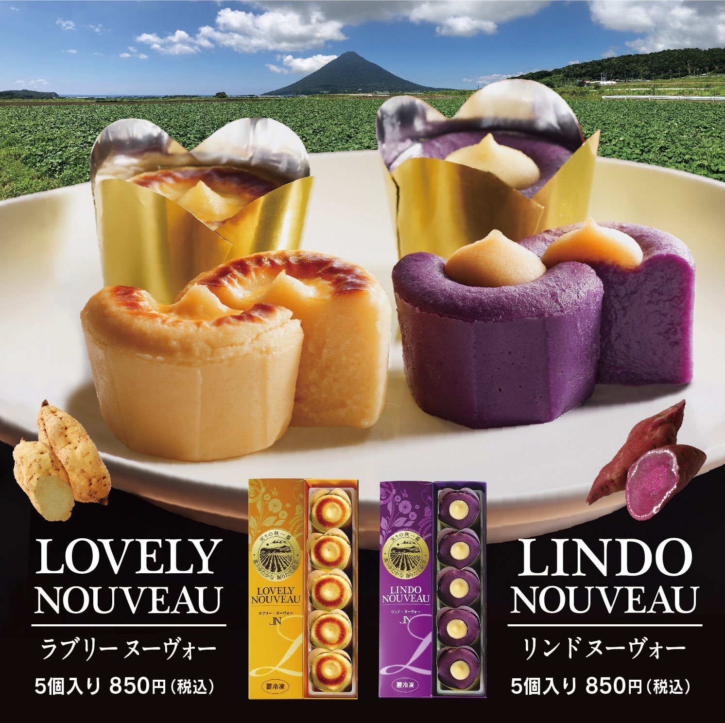 唐芋菓子専門店 Festivalo フェスティバロ 今日は さつまいもの日 唐芋菓子専門店の フェスティバロ では 掘りたての新芋を使った 唐芋レアケーキ ラブリーヌーヴォー と 唐芋レアケーキ リンドヌーヴォー を販売中です 今年の旬の味