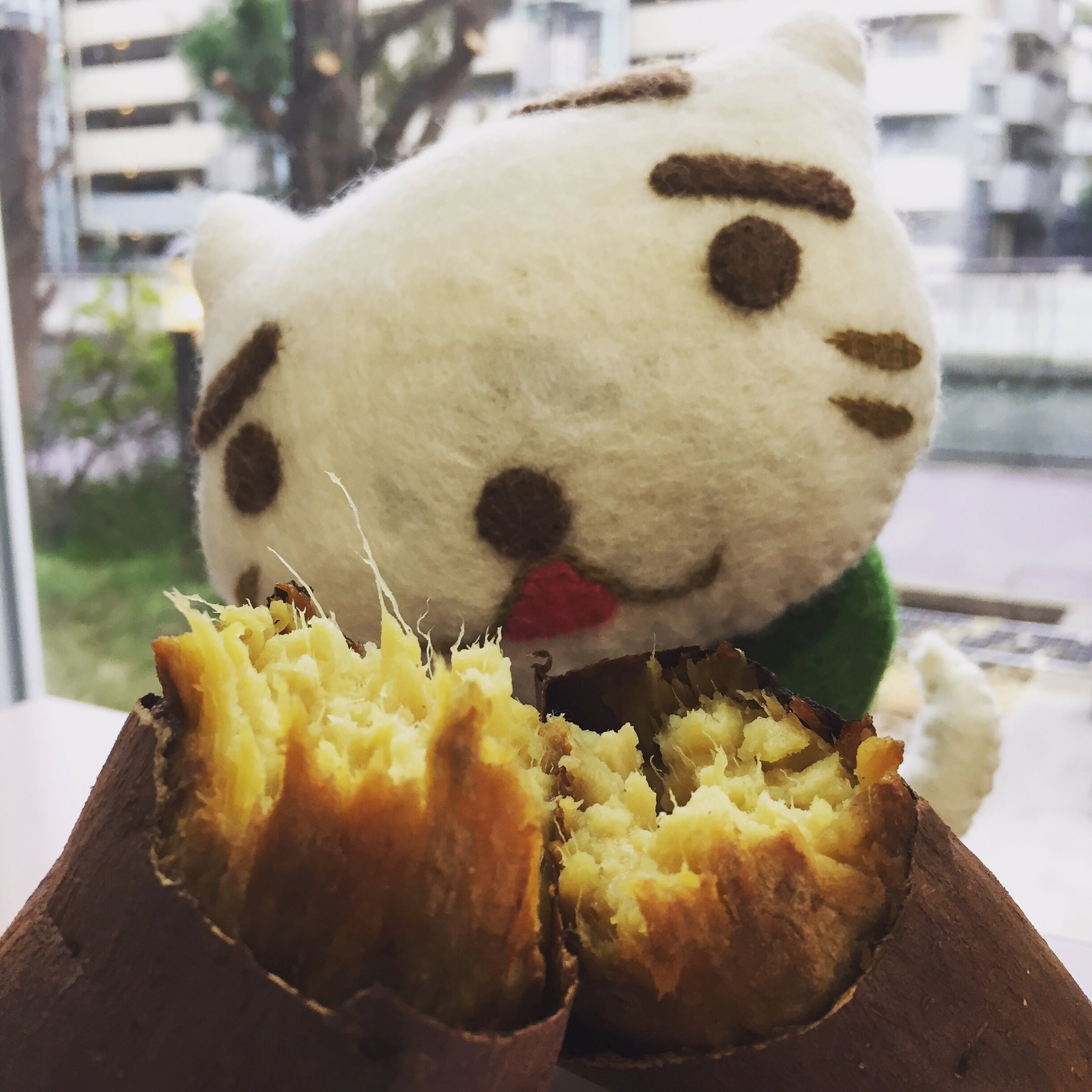 さすらいねこ おかか 焼き芋ほっくほく さつまいもの日 サツマイモの日 食欲の秋 猫好きさんと繋がりたい T Co 8qszpm8ogt Twitter