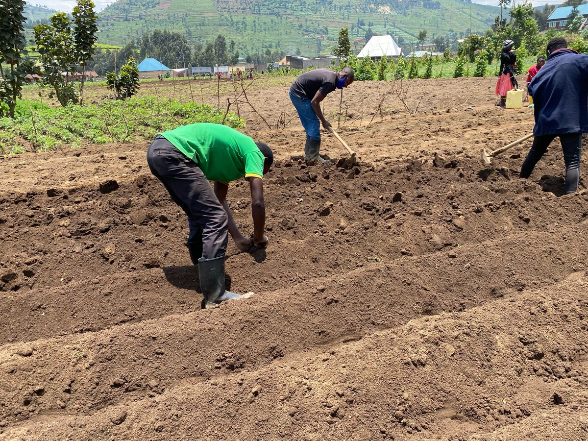RwPotatoSDGP's tweet photo. Let’s take a moment to recognize farmers’ hard work. They are the backbone of #agriculturesystems. Farmers contribute to the growth of the agricultural sector, which feeds the nation and benefits the economy by exporting goods to foreign countries. #AppreciateFarmers #DoNotWaste https://t.co/lI88qKeiZg