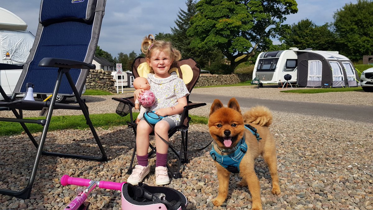 Heath2076's tweet photo. Esmè and Stanley enjoying the Autumn sunshine at Troutbeck head caravan and motorhome site. #practicalcaravan https://t.co/H61LafmIJK
