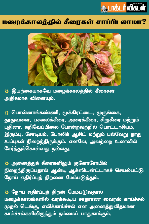 DoctorVikatan's tweet photo. மழைக்காலத்தில் கீரைகள் சாப்பிடலாமா?
#Rain | #LeafVegetable | #Health | #Tips https://t.co/pQjKHT4dig