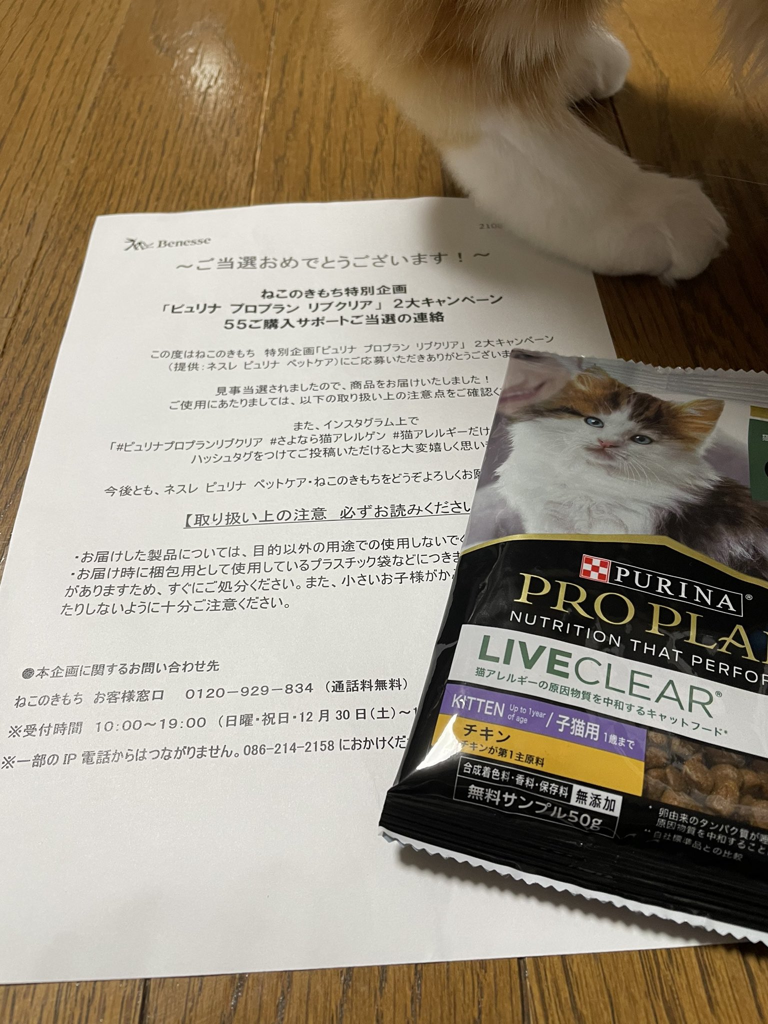 さよなら猫アレルゲン Twitter Search Twitter