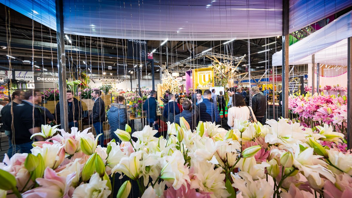 FloraHolland's tweet photo. Komt u ook een kijkje nemen in het Royal FloraHolland House tijdens de Trade Fair Aalsmeer? Dit jaar hét toneel voor trends en #noviteiten. Meld u aan via https://t.co/KdXb7enACk. Tot ziens! https://t.co/YZ4s5cnuEG