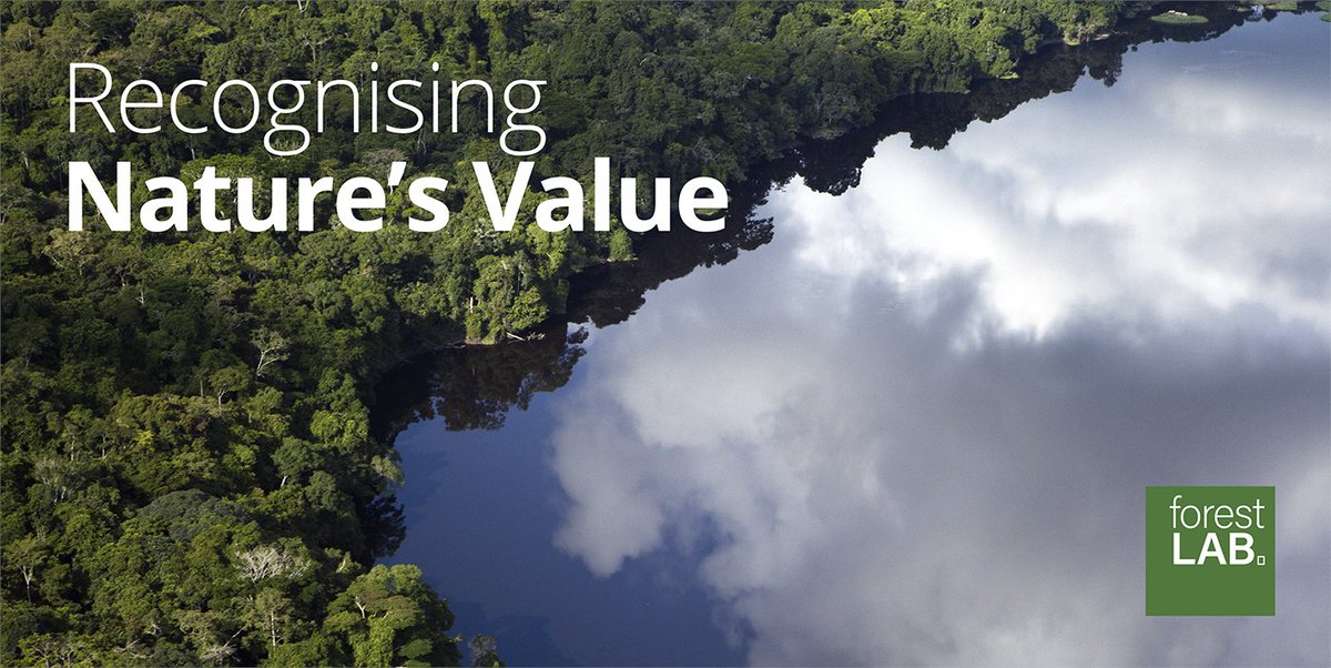 University of Stirling (@stiruni) on Twitter photo Recognising the value of Africa's carbon superpowers: Join dean of <a href="/StirlingScience/">Stirling Natural Sciences</a> <a href="/AlistairJump/">Alistair Jump</a> with Stirling hon prof and Gabon forest minister <a href="/LeeWhiteCBE/">Prof. Lee White CBE</a> for the online launch of partnership <a href="/forestLAB4/">forestLAB</a> on Oct 19 ow.ly/oh7l50Gqxne Recognising the value of Africa's carbon superpowers: Join dean of <a href="/StirlingScience/">Stirling Natural Sciences</a> <a href="/AlistairJump/">Alistair Jump</a> with Stirling hon prof and Gabon forest minister <a href="/LeeWhiteCBE/">Prof. Lee White CBE</a> for the online launch of partnership <a href="/forestLAB4/">forestLAB</a> on Oct 19 ow.ly/oh7l50Gqxne