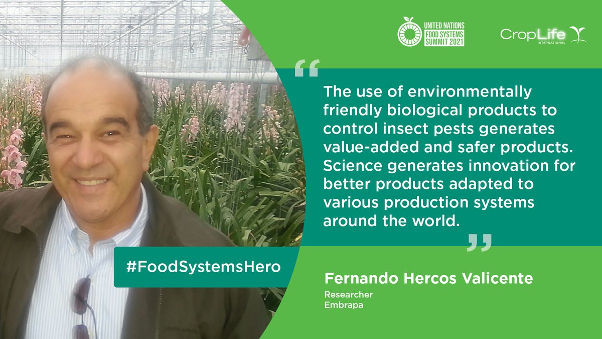 CropLifeIntl's tweet photo. Who is our #FoodSystemsHero? Our #foodheroes are people working to advance agricultural #innovation that help deliver more sustainable food systems for the world. #UNFSS2021 #FoodSystems #ClimateChange #Agriculture #environment #biologicals @embrapa https://t.co/5YFTodUtPp https://t.co/o48BinQk0N