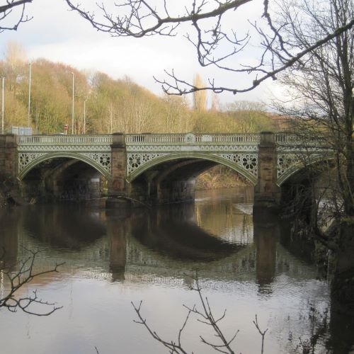 ICE Library tweet media