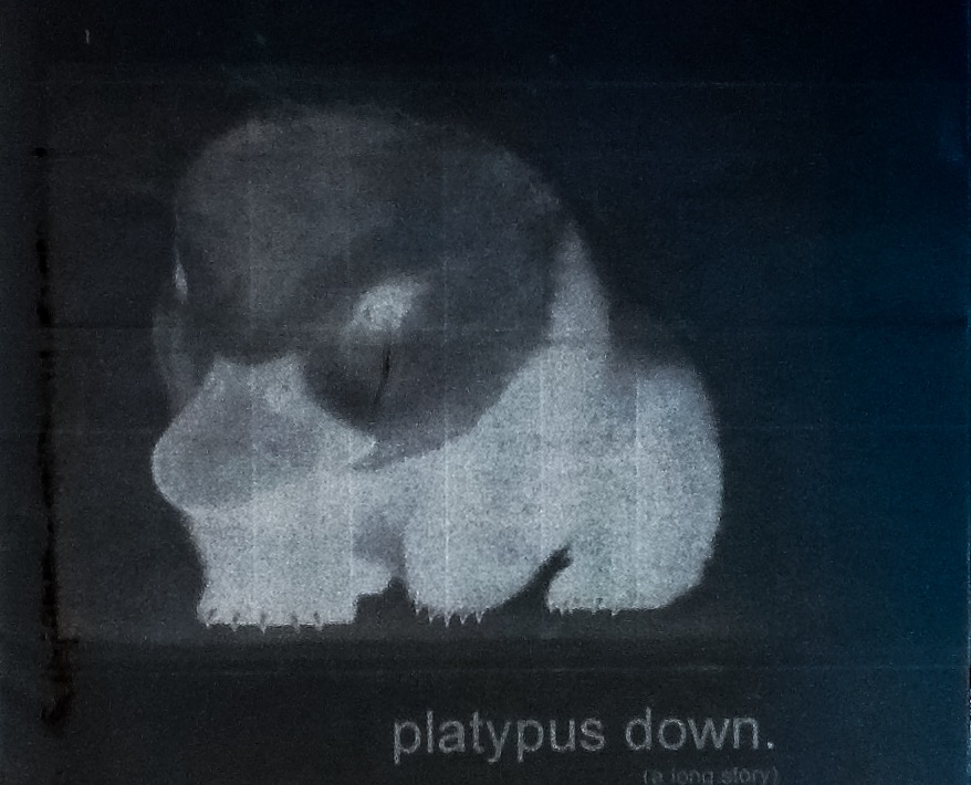 TARartRAT's tweet photo. #dearINTERNET , YEP: more of that. #platypusDOWN coming soon. @platypusDOWN SEE ALSO: #PostCovid #PostCovidLIT #mustread2021 #reading #books #writing #publishing #platypusdownbook #mustread #READ# #WRITEnow #write @eborsisk #eBORsISK #LITtERATURE #CLIFI #bestOFclifi https://t.co/XqeuKh2xCY